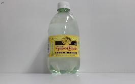 TOPO CHICO 24/20.3oz PET**