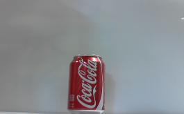 COKE CAN 12Z 12CT*