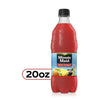 MINUTE MAID FRT PNCH 20OZ 24CT