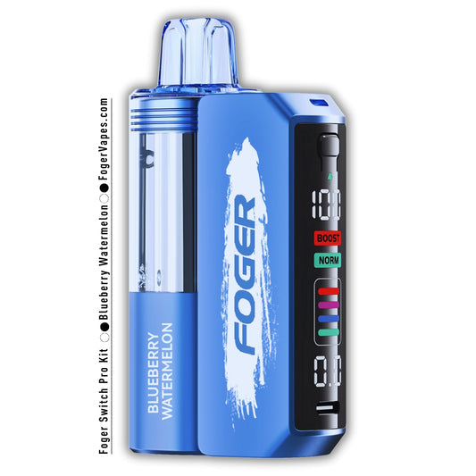 Foger Kit 30k 5ct Blueberry Watermelon