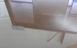 CAMEL NON-FILTER - 100400