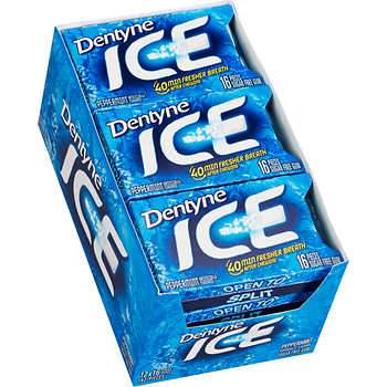 DENTYNE ICE PEPMINT 16CT/12PKS - 200330
