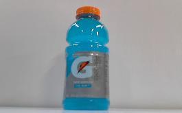 GATORADE 24/20oz COOL BLUE*
