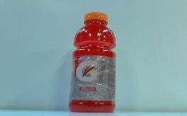 GATORADE 24/20oz FRUIT PUNCH*