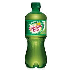 CANADA DR GING ALE 20oz/24CT*