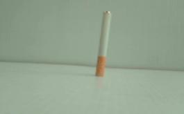 CIG  LOOKING PIPE BIG 1CT