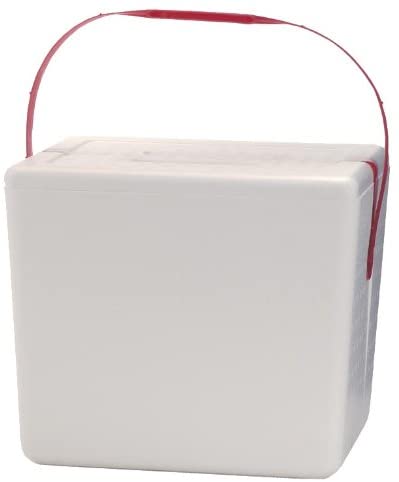 ICE CHEST 22 QURART 1CT - 6/CA - 714550R
